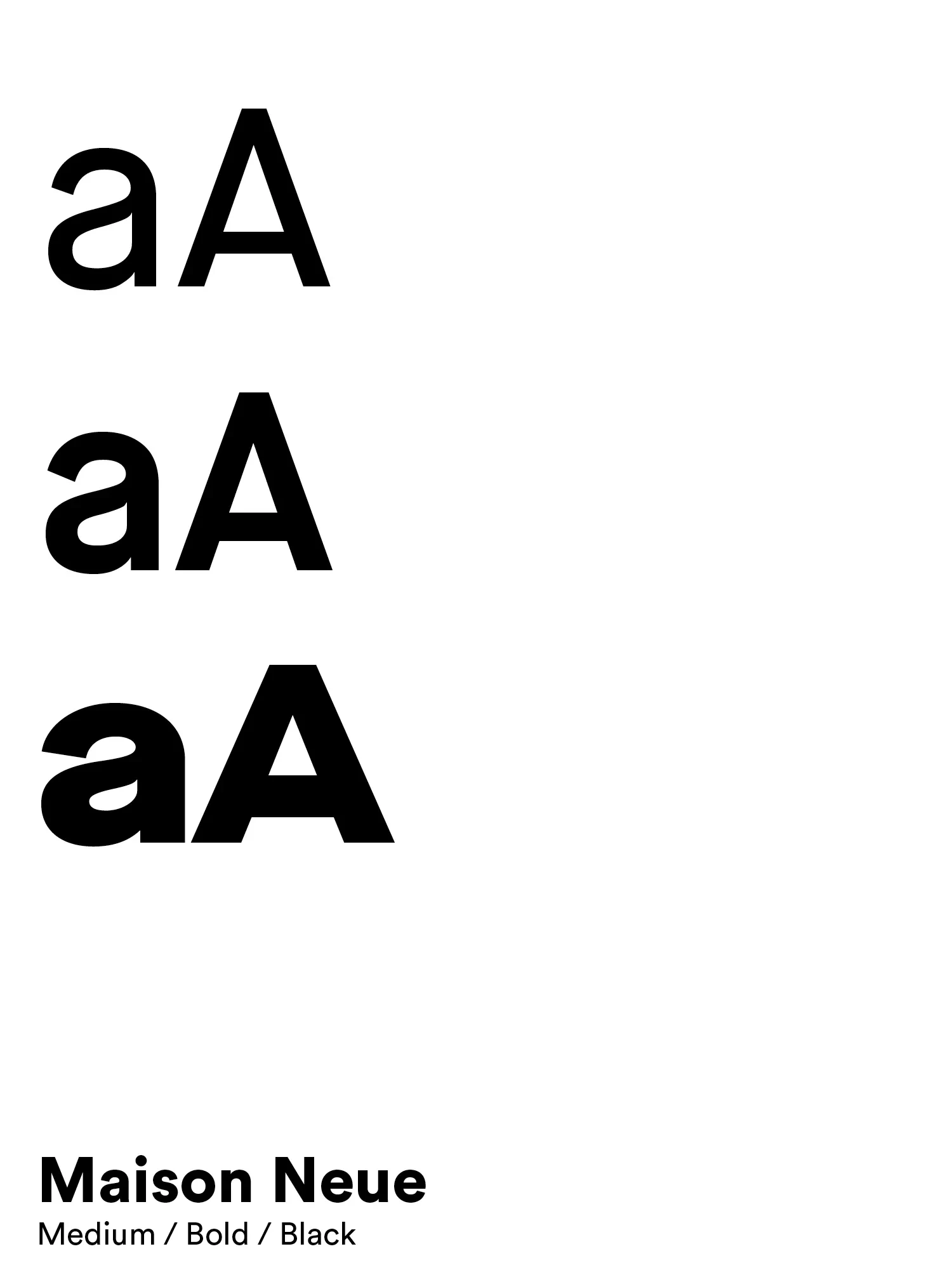 Maison Neue, Typographie utilisée pour le site Noa Consulting